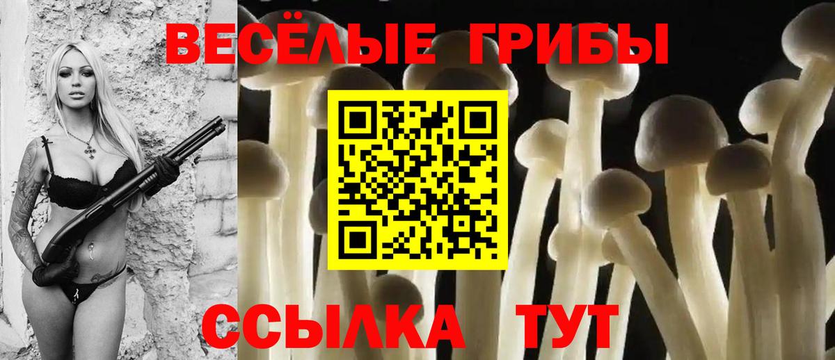 Псилоцибиновые грибы ЛСД Краснокамск